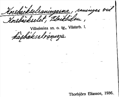 Bild på arkivkortet för arkivposten Korsbäckselraningarna