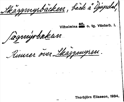 Bild på arkivkortet för arkivposten Skäggmyrbäcken