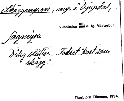 Bild på arkivkortet för arkivposten Skäggmyren