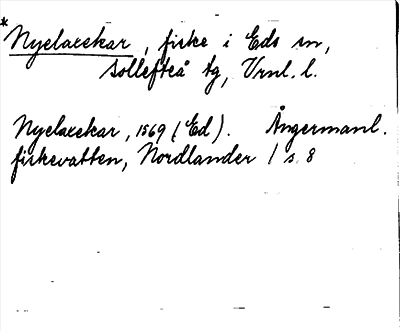 Bild på arkivkortet för arkivposten *Nyelaxekar