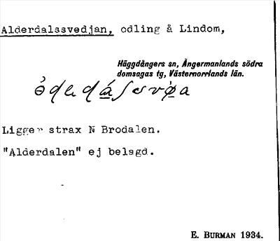 Bild på arkivkortet för arkivposten Alderdalssvedjan