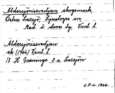Bild på arkivkortet för arkivposten Aldersjörissvedjan