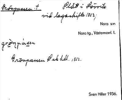 Bild på arkivkortet för arkivposten Grönpussen