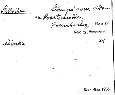 Bild på arkivkortet för arkivposten Sillviken