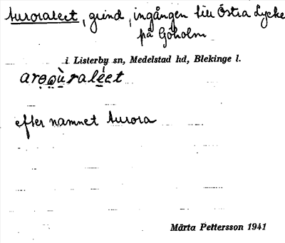 Bild på arkivkortet för arkivposten Auroraleet