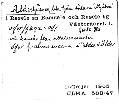 Bild på arkivkortet för arkivposten Aldertjärnen