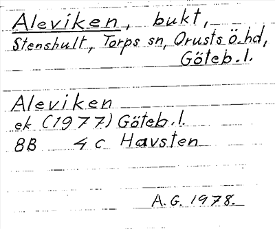 Bild på arkivkortet för arkivposten Aleviken