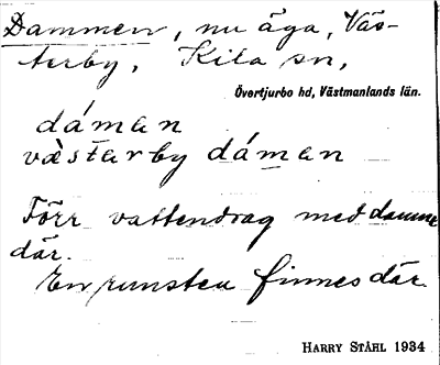 Bild på arkivkortet för arkivposten Dammen