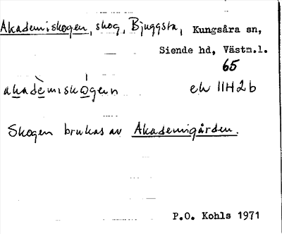 Bild på arkivkortet för arkivposten Akademiskogen