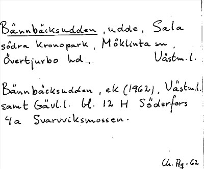 Bild på arkivkortet för arkivposten Bännbäcksudden