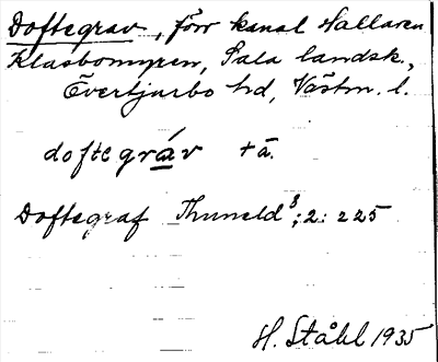 Bild på arkivkortet för arkivposten Doftegrav