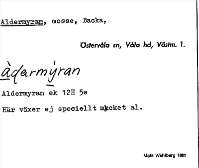 Bild på arkivkortet för arkivposten Aldermyran
