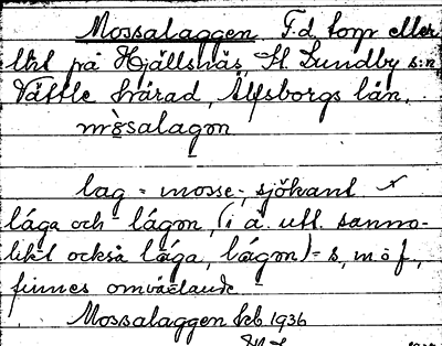 Bild på arkivkortet för arkivposten Mossalaggen
