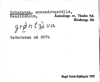 Bild på arkivkortet för arkivposten Gröntuvan