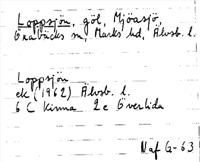 Bild på arkivkortet för arkivposten Loppsjön