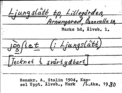 Bild på arkivkortet för arkivposten Ljungslätt