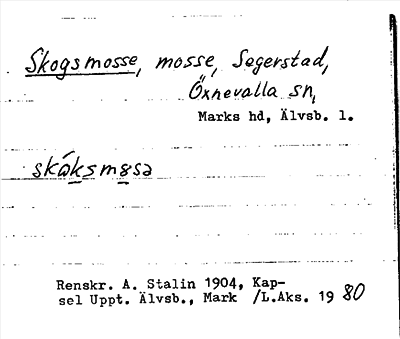 Bild på arkivkortet för arkivposten Skogsmosse