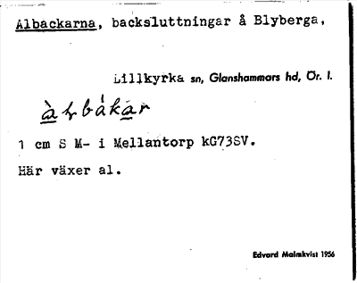 Bild på arkivkortet för arkivposten Albackarna