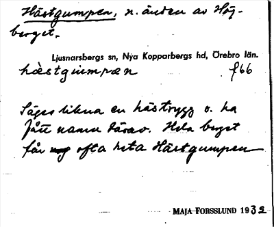 Bild på arkivkortet för arkivposten Hästgumpen