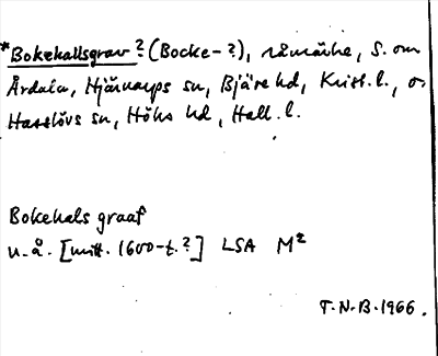 Bild på arkivkortet för arkivposten *Bokehallsgrav?