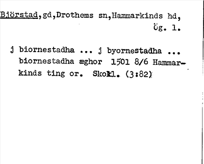 Bild på arkivkortet för arkivposten Björstad