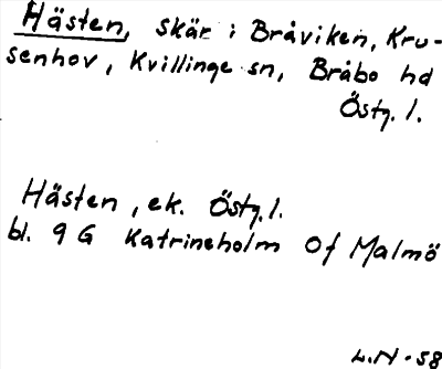 Bild på arkivkortet för arkivposten Hästen