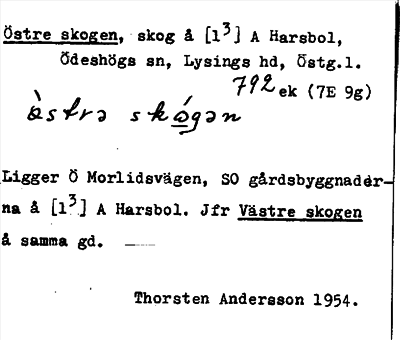 Bild på arkivkortet för arkivposten Östre skogen