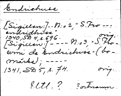 Bild på arkivkortet för arkivposten Endriehuse