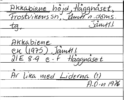 Bild på arkivkortet för arkivposten Akkabiene