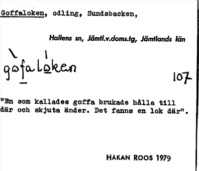 Bild på arkivkortet för arkivposten Goffaloken