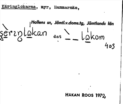 Bild på arkivkortet för arkivposten Käringlokarna