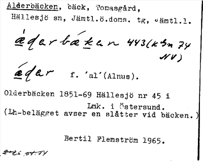 Bild på arkivkortet för arkivposten Alderbäcken