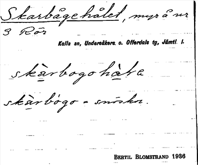 Bild på arkivkortet för arkivposten Skarbågehålet