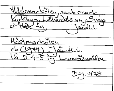 Bild på arkivkortet för arkivposten Hästmorkölen