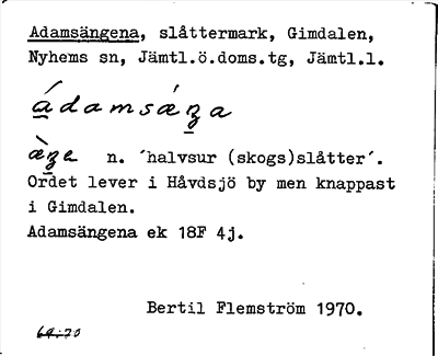 Bild på arkivkortet för arkivposten Adamsängena