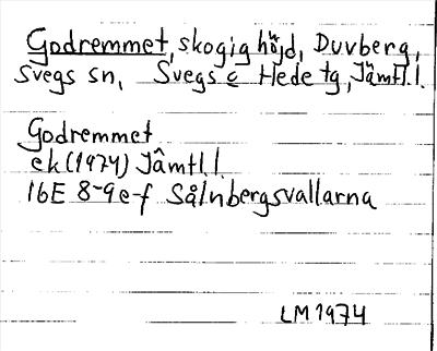 Bild på arkivkortet för arkivposten Godremmet