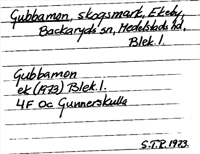 Bild på arkivkortet för arkivposten Gubbamon