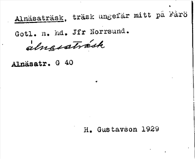 Bild på arkivkortet för arkivposten Alnäsaträsk