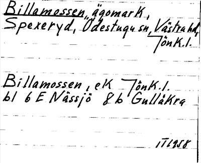 Bild på arkivkortet för arkivposten Billamossen