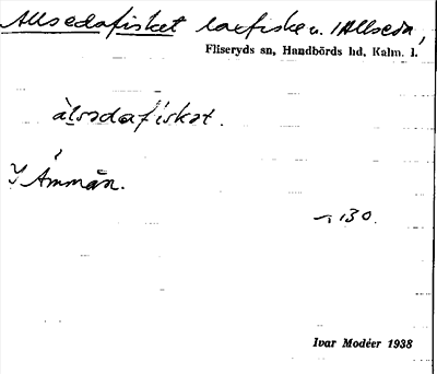 Bild på arkivkortet för arkivposten Allsedafisket