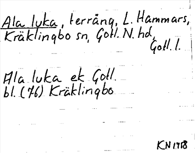 Bild på arkivkortet för arkivposten Ala luka