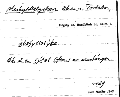 Bild på arkivkortet för arkivposten Aleskyttlelyckan