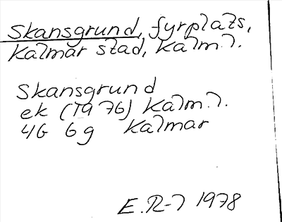 Bild på arkivkortet för arkivposten Skansgrund