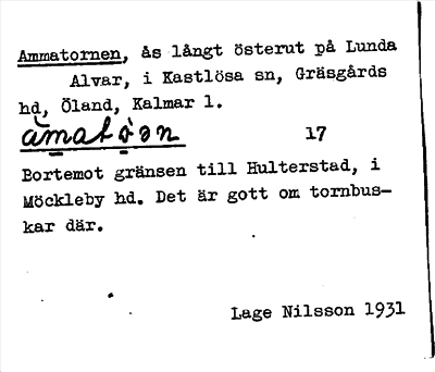 Bild på arkivkortet för arkivposten Ammatornen