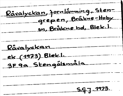 Bild på arkivkortet för arkivposten Rävalyckan