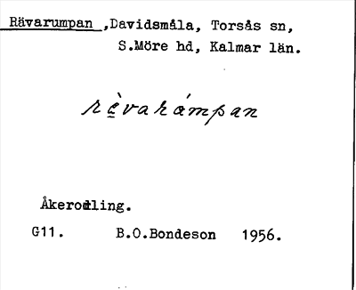 Bild på arkivkortet för arkivposten Rävarumpan