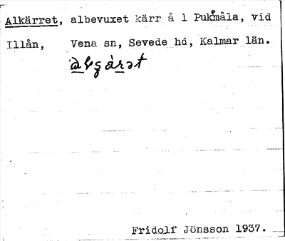 Bild på arkivkortet för arkivposten Alkärret